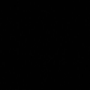 Meet your Posher, Stella